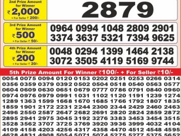 Dear Lottery Chart 2024