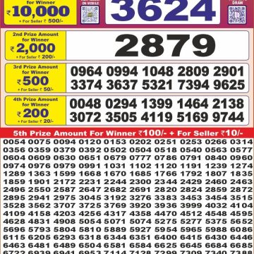 Dear Lottery Chart 2024