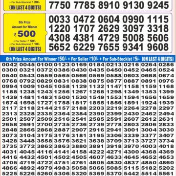 Dear Lottery Chart 2024