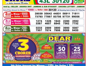 Dear Lottery Chart 2024