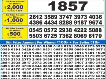 Dear Lottery Chart 2024