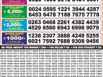 Dear Lottery Chart 2024