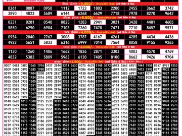 Dear Lottery Chart 2024