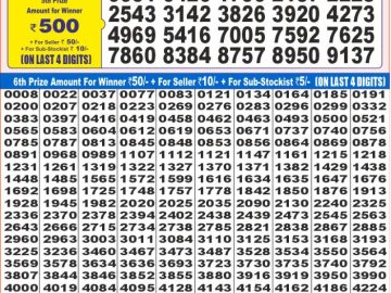 Dear Lottery Chart 2024