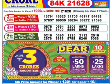 Dear Lottery Chart 2024