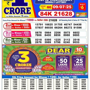 Dear Lottery Chart 2024
