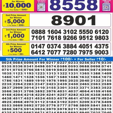 Dear Lottery Chart 2024