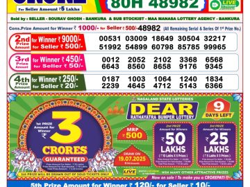 Dear Lottery Chart 2024