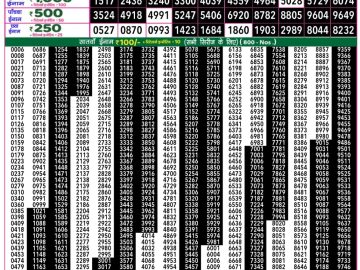 Dear Lottery Chart 2024