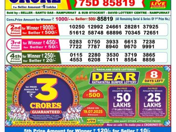 Dear Lottery Chart 2024