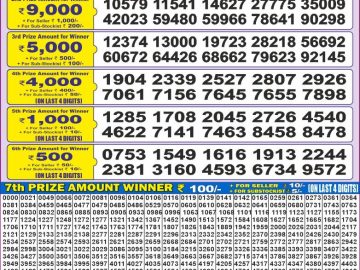 Dear Lottery Chart 2024