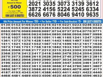 Dear Lottery Chart 2024