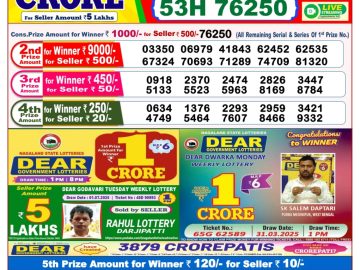 Dear Lottery Chart 2024
