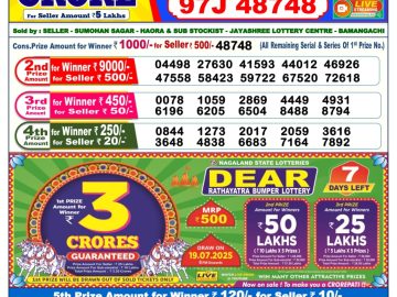 Dear Lottery Chart 2024