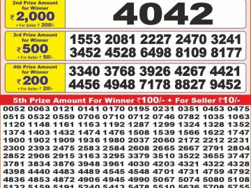 Dear Lottery Chart 2024