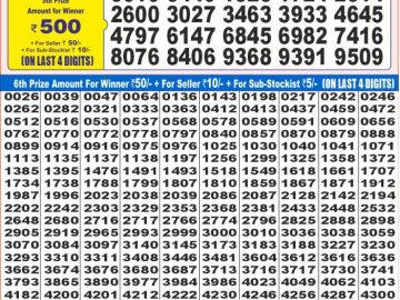 Dear Lottery Chart 2024