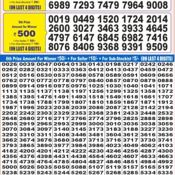 Dear Lottery Chart 2024