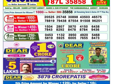 Dear Lottery Chart 2024