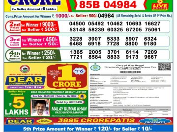 Dear Lottery Chart 2024