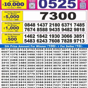 Dear Lottery Chart 2024
