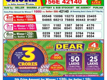Dear Lottery Chart 2024