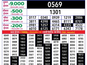 Dear Lottery Chart 2024