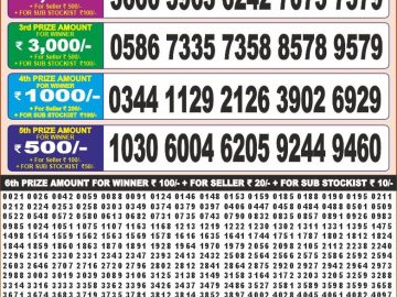 Dear Lottery Chart 2024