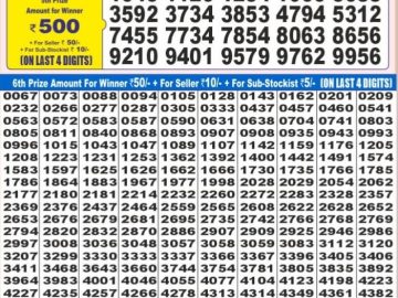 Dear Lottery Chart 2024