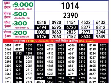 Dear Lottery Chart 2024