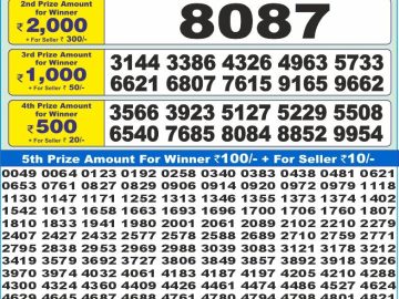 Dear Lottery Chart 2024