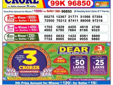 Dear Lottery Chart 2024