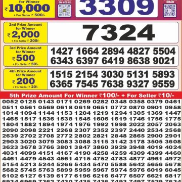 Dear Lottery Chart 2024