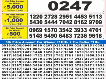 Dear Lottery Chart 2024