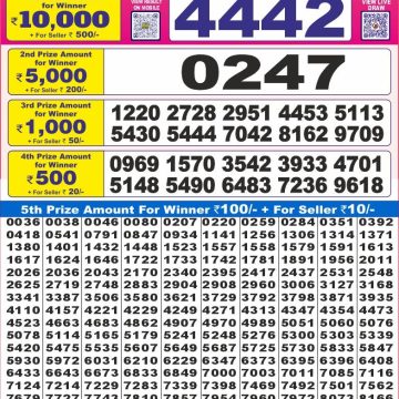 Dear Lottery Chart 2024