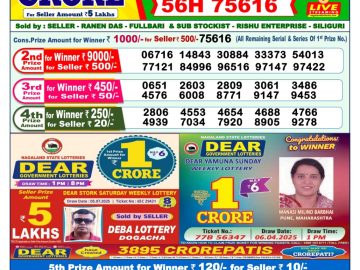Dear Lottery Chart 2024