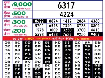 Dear Lottery Chart 2024