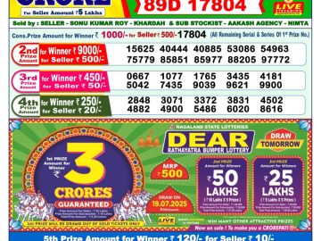 Dear Lottery Chart 2024
