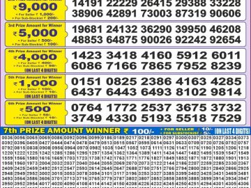 Dear Lottery Chart 2024