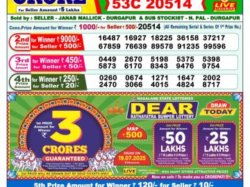 Dear Lottery Chart 2024