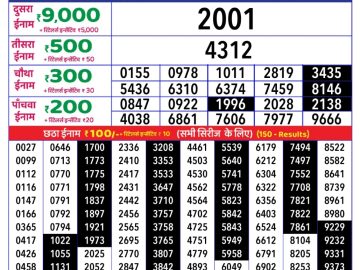 Dear Lottery Chart 2024