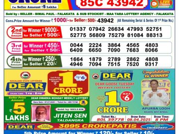 Dear Lottery Chart 2024