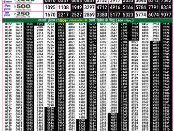 Dear Lottery Chart 2024