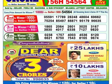 Dear Lottery Chart 2024