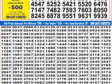 Dear Lottery Chart 2024