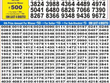 Dear Lottery Chart 2024