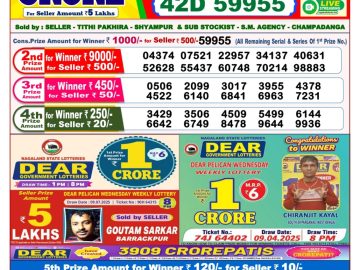 Dear Lottery Chart 2024