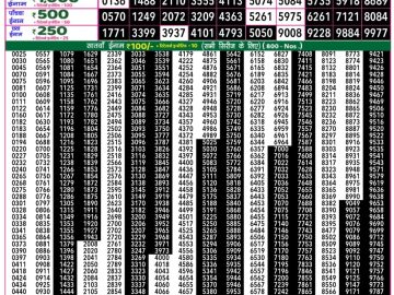 Dear Lottery Chart 2024