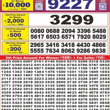 Dear Lottery Chart 2024