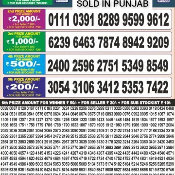 Dear Lottery Chart 2024