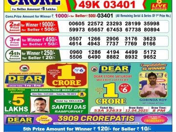 Dear Lottery Chart 2024